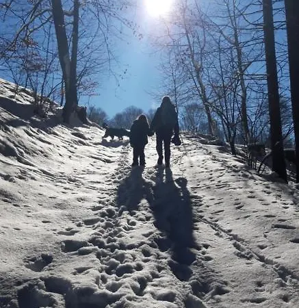 Alter Kraeuterhof Appartement *