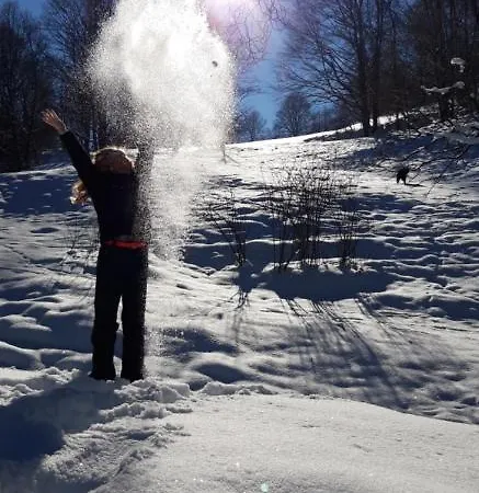 Alter Kraeuterhof Appartement