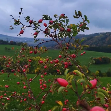 Appartement Alter Kraeuterhof Mildenau
