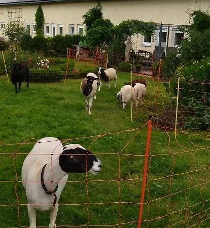 Appartement Alter Kraeuterhof *