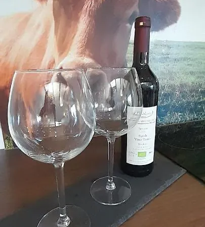 Alter Kraeuterhof Appartement *