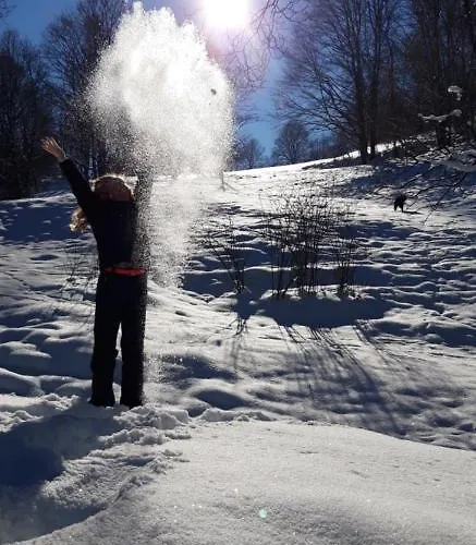 Alter Kraeuterhof شقة