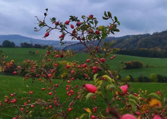 شقة Alter Kraeuterhof Mildenau