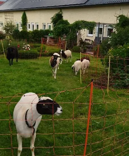 شقة Alter Kraeuterhof *