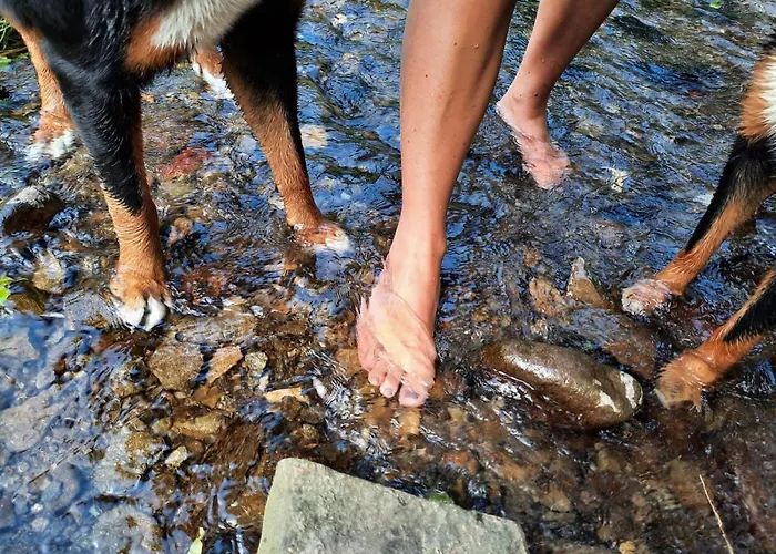 شقة Alter Kraeuterhof Mildenau