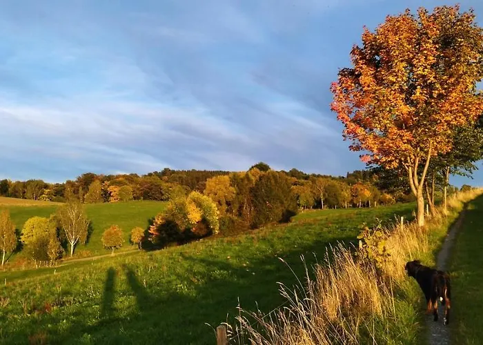 شقة Alter Kraeuterhof Mildenau
