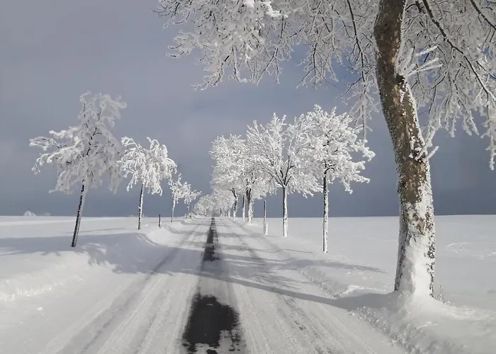 Alter Kraeuterhof Mildenau